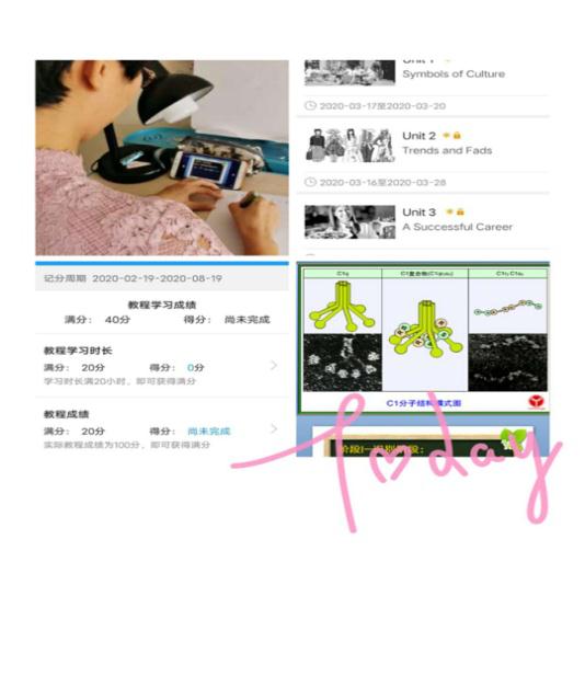 以观摩促教学_共享云端智慧——永利集团304官网第一次线上教学观摩课