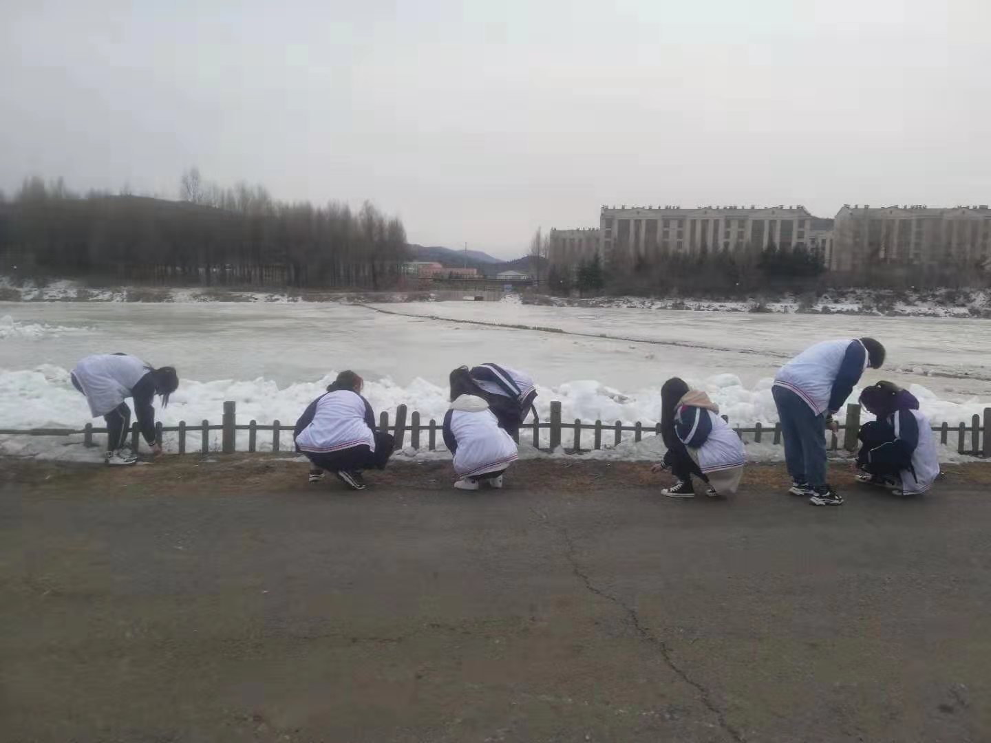 永利集团304官网3.5学习雷锋团活