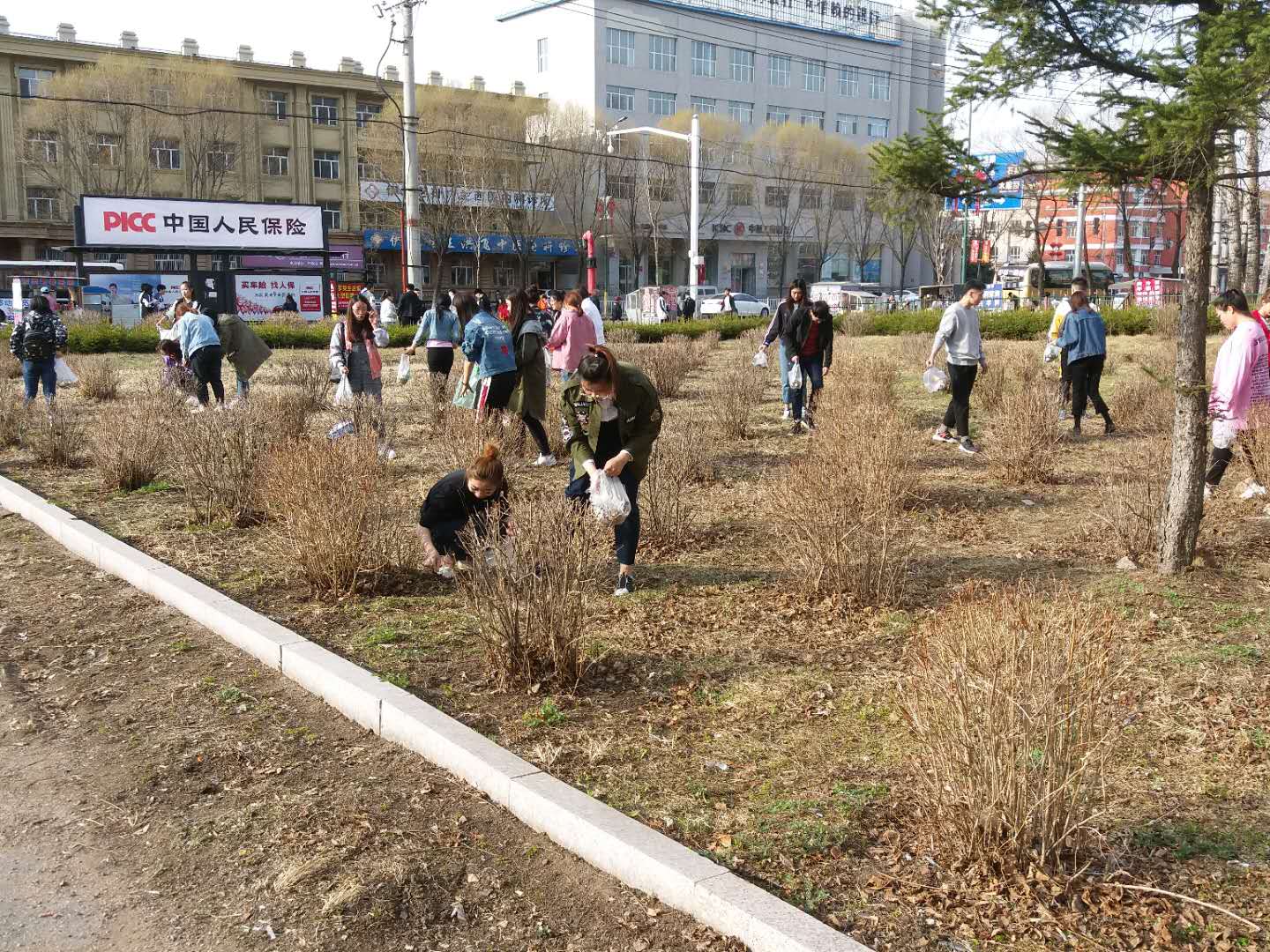 永利组织学生党员、入党积极分子开展义务劳动