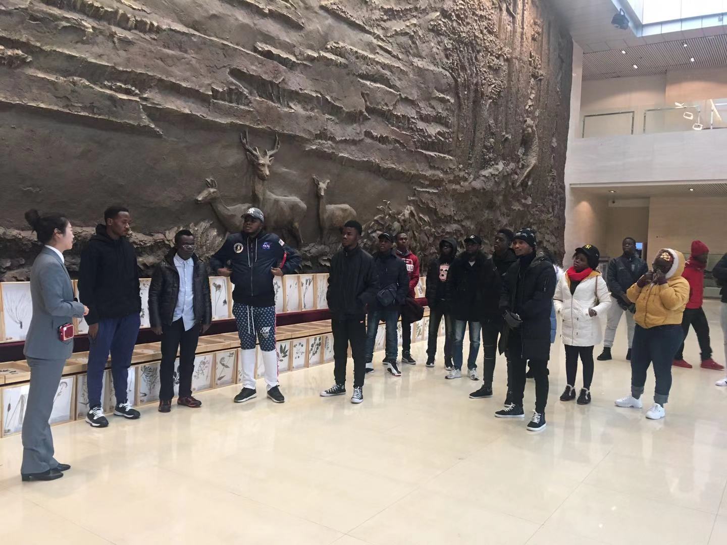 开启文化之旅，领略林城之美——记永利留学生参观伊春森林博物馆